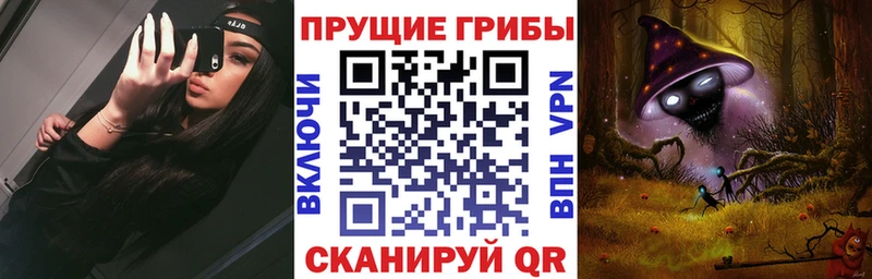 где купить наркоту Баймак Галлюциногенные грибы Magic Shrooms